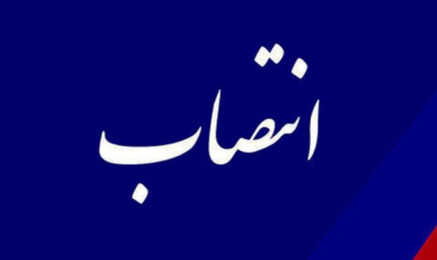 فرماندار شهرستان صحنه منصوب شد – خبرگزاری مهر | اخبار ایران و جهان