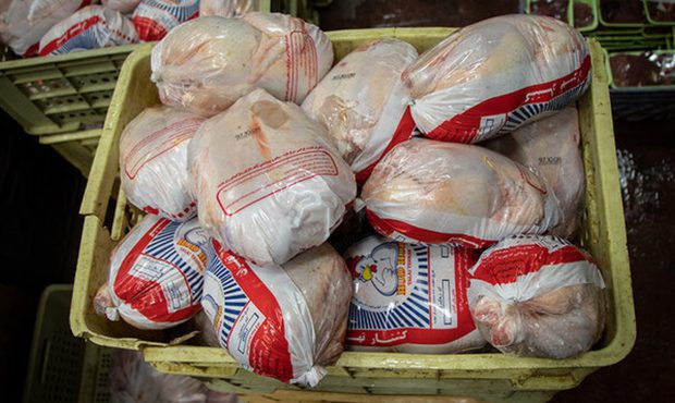 توزیع ۶۵ تن مرغ منجمد در فروشگاه‌های کرمانشاه – خبرگزاری مهر | اخبار ایران و جهان
