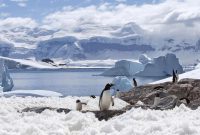 چرا جنوبگان مکانی بیابانی محسوب می‌شود؟