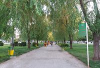 فعالیت ۲۳۷ بوستان و فضای سبز در کرمانشاه