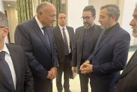 رایزنی «علی باقری» با وزیر خارجه مصر؛ توافق دو طرف درباره تسریع در رایزنی برای حل بحران غزه